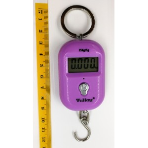 WH-A21 mini cântar digital suspendat până la 25 kg violet