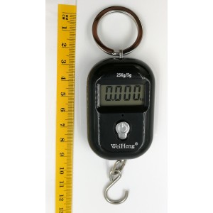 WH-A21 mini cântar digital suspendat până la 25 kg negru